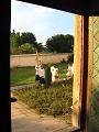  už jsou vidět ze dveří kostela