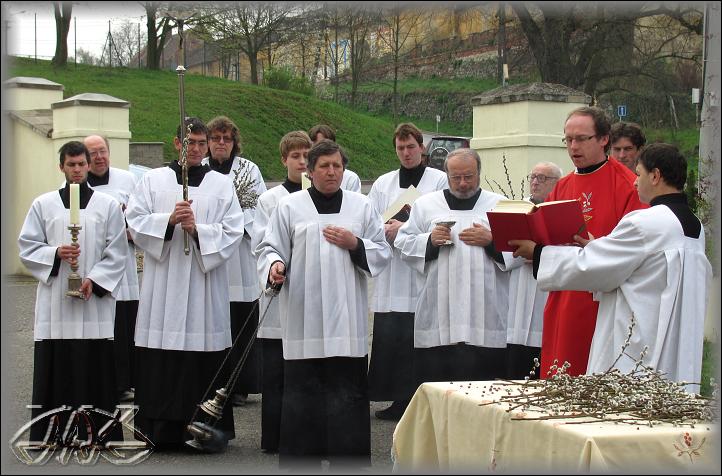 čte se evangelium z Květné neděle o slavném vjezdu Pána Ježíše do Jeruzaléma