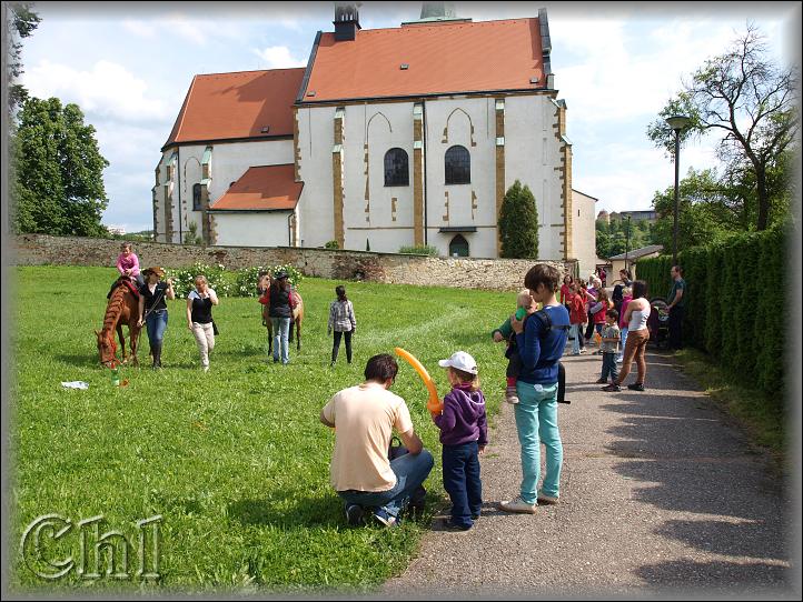 kdo ještě chce zažít pohled z koňského sedla?