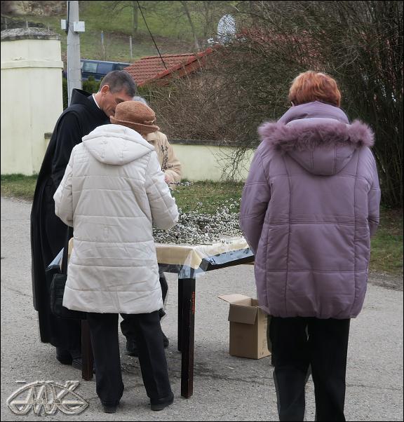 Janko musí ještě nabrat kočičky pro nemocné