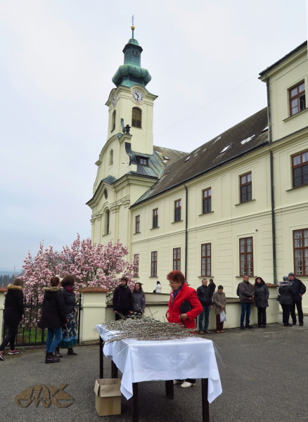 na náměstíčku před nemocnicí jsou opět nachystány kočičky