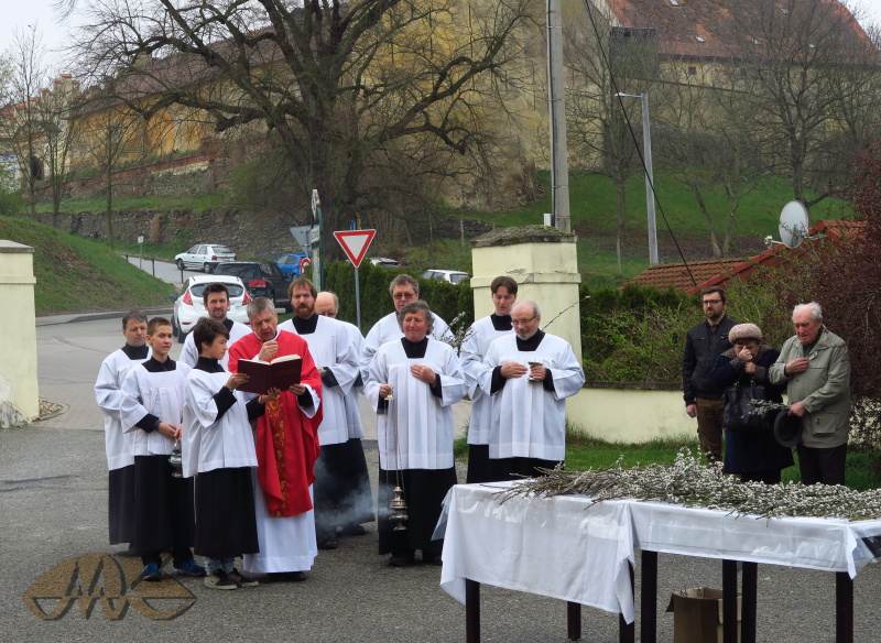 evangelium o vjezdu Pána Ježíše do Jeruzaléma