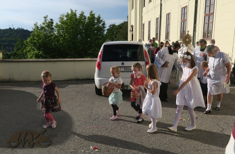 družičky sypou na cestu květové plátky