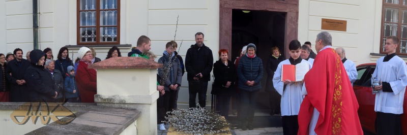 žehnání kočiček se dnes odehrává před vstupem do nemocnice