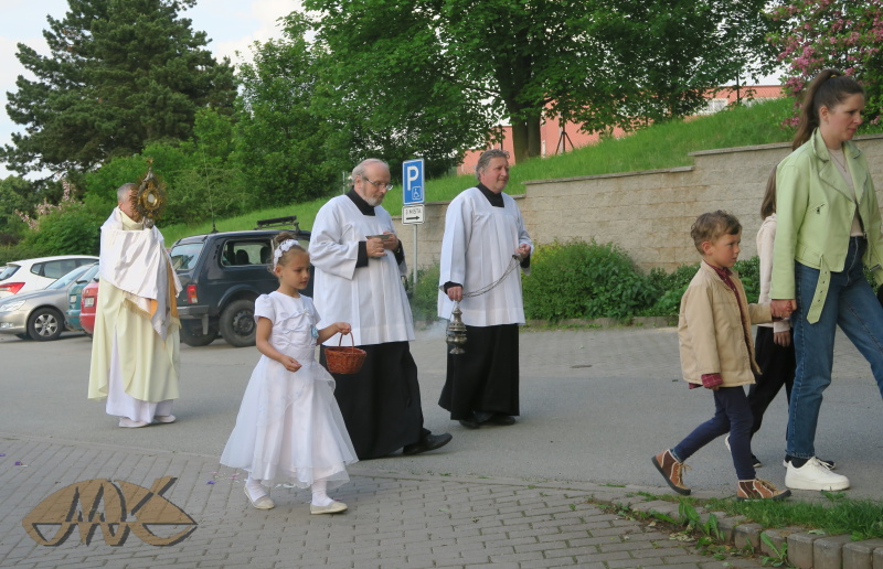 družičky stelou cestu květními plátky