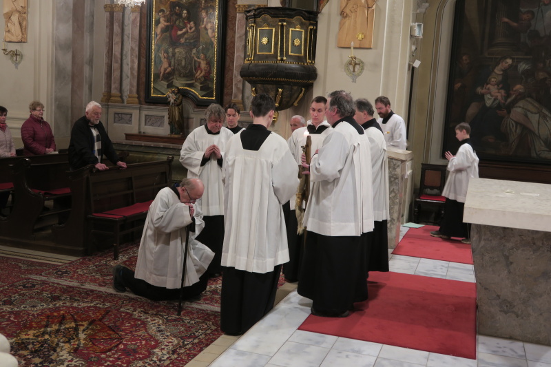 následuje schola