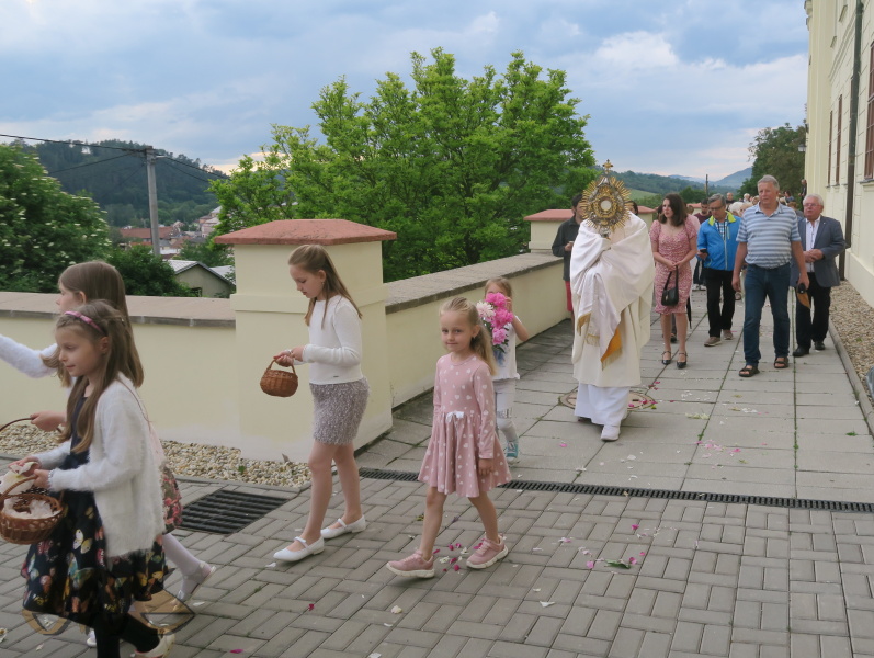 pivoňky letos rozkvetly dříve než obvykle
