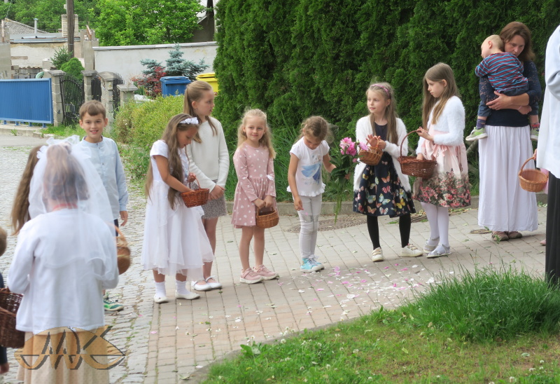 družičky