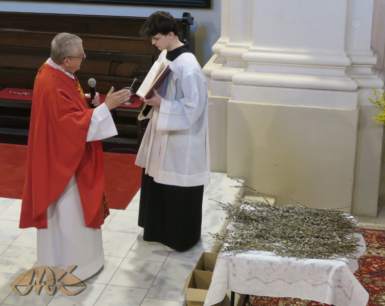 jsou žehnány ratolesti