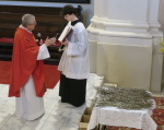 jsou žehnány ratolesti