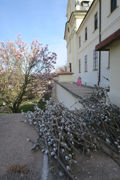 ratolesti se budou dnes žehnat před nemocnicí
