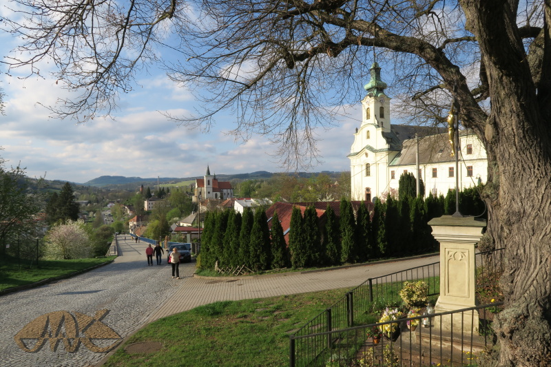 po včerejším dešti se všechno zazelenalo